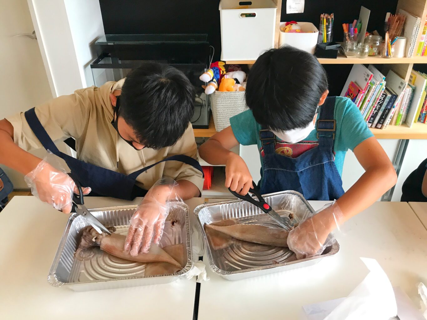 館山市の学習塾ランゲージ・ラボラトリーのイカの解剖実験