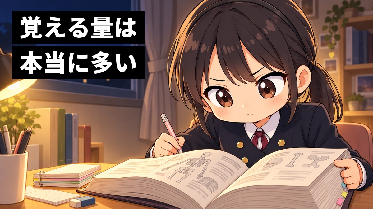 夜の自分の部屋の机で、ブレザーの制服の安房高校の女子が、骨格の図が並ぶ分厚い生物の資料集をにらみ、頬をふくらませてむっとしている挿絵。文字「覚える量は本当に多い」