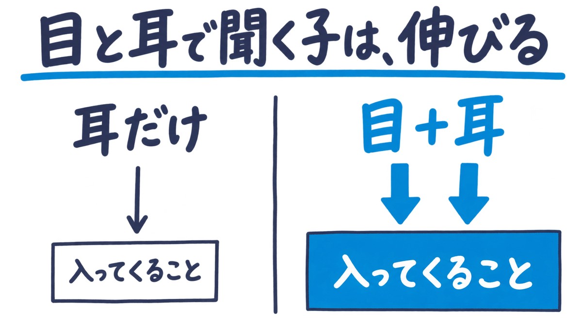 聞き方を比べた手描き図解。左は「耳だけ」から細い矢印1本で小さい「入ってくること」、右は「目＋耳」から太い青の矢印2本で大きい青の「入ってくること」。見出しは「目と耳で聞く子は、伸びる」。