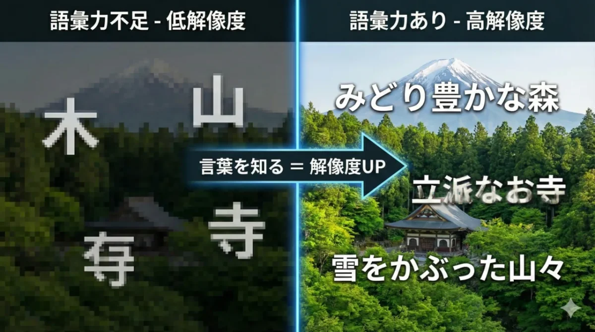 語彙が少ないと景色がぼやけて「木・山・寺」としか言えず、言葉を知ると「みどり豊かな森」「立派なお寺」「雪をかぶった山々」とくっきり見えることを比べた図