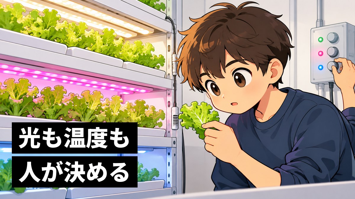 大学の研究室の、窓のない栽培室で、棚のLEDの光の色を手元のつまみで変えながら、レタスの葉を夢中でのぞきこむ茶髪の男子大学生。「光も温度も人が決める」の文字。