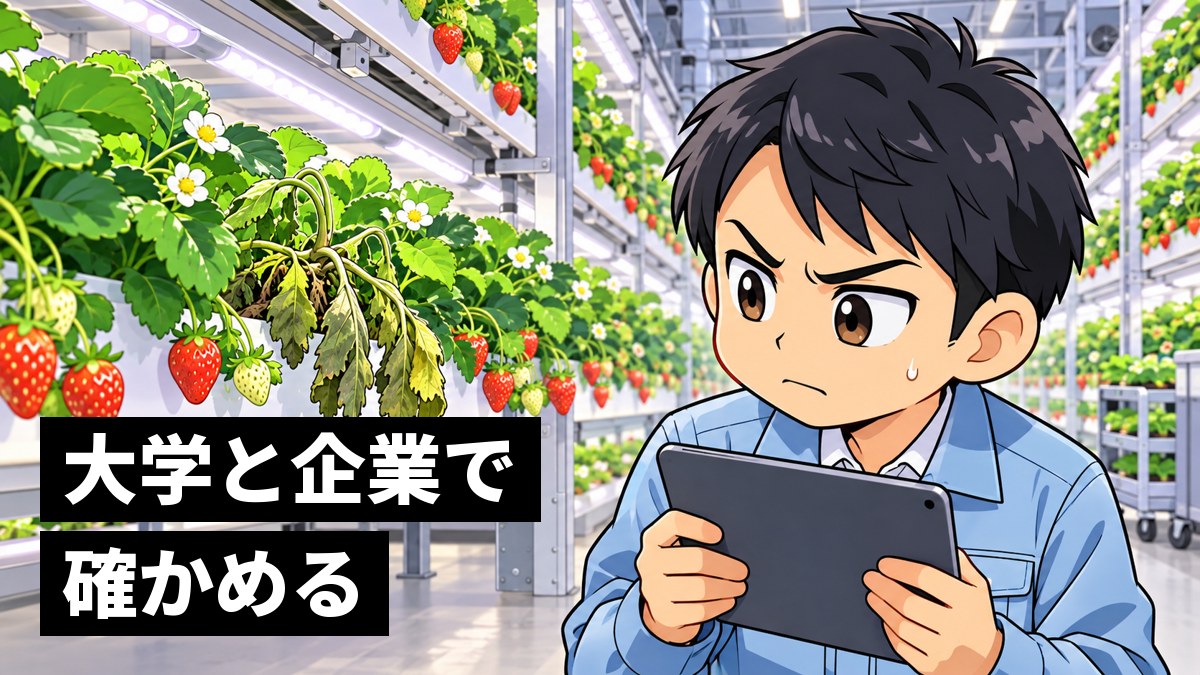 人工の光で育てるイチゴの植物工場で、葉先がしおれた株を見つけ、眉を寄せて口を結び、タブレットのデータと見比べる作業着の若い技術者の男性。「大学と企業で確かめる」の文字。