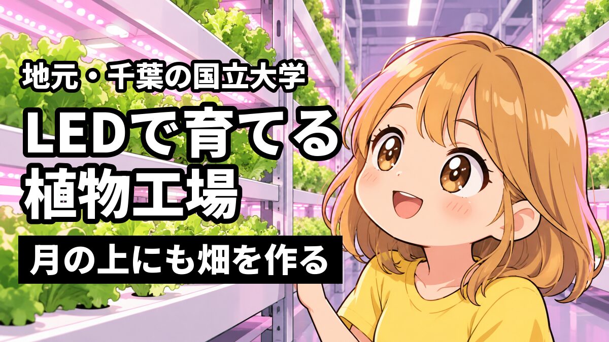 LEDの光に照らされた植物工場で、レタスが何段も並ぶ棚を見上げて目を輝かせる、明るい髪に黄色いTシャツの女子大学生。「地元・千葉の国立大学」「LEDで育てる植物工場」「月の上にも畑を作る」の文字。