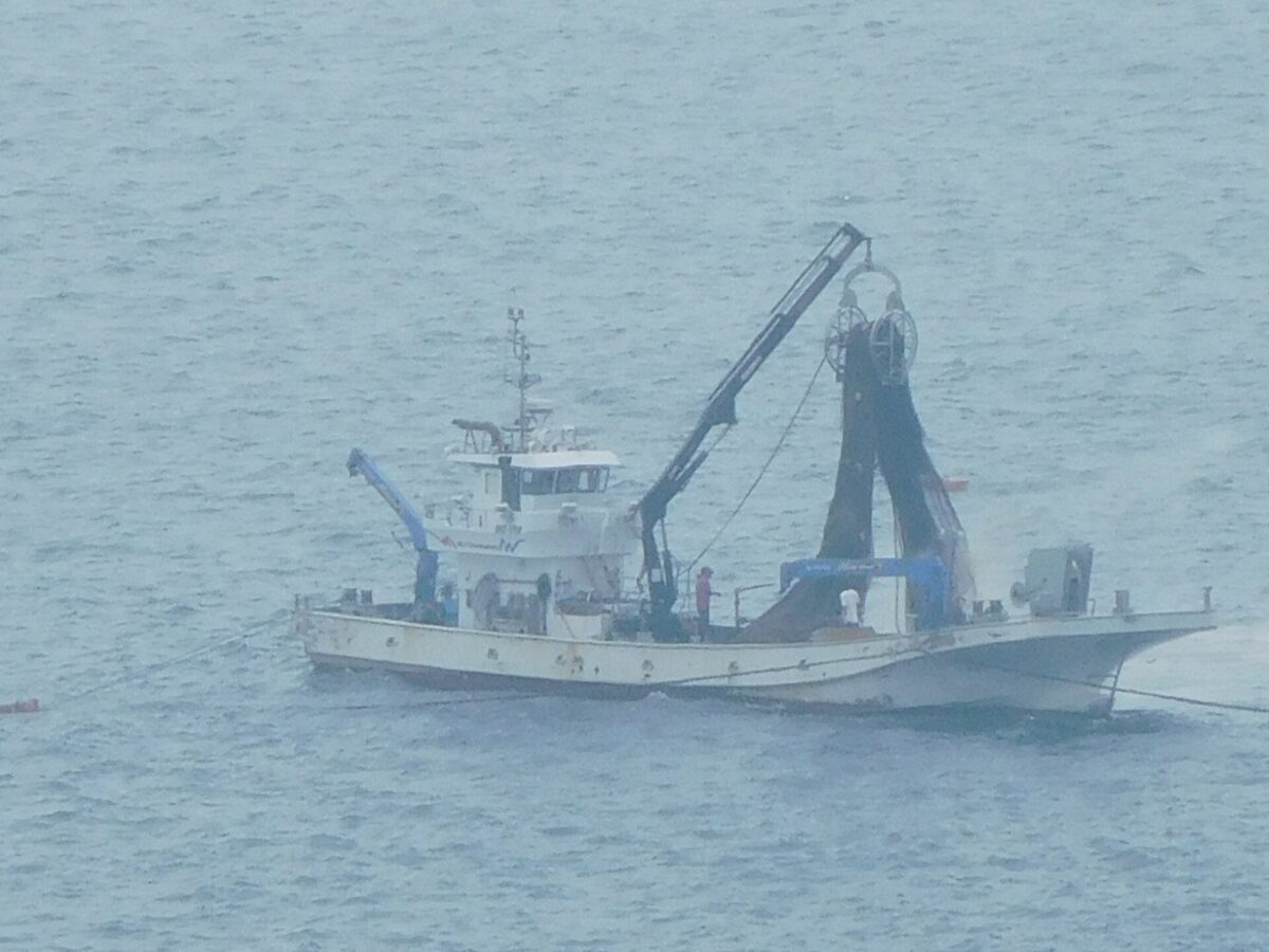 海の上で、白い漁船がクレーンを使って、海に仕掛けた網を引き上げている