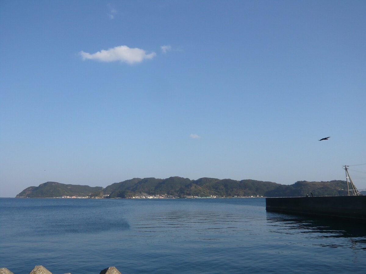 青い海の向こうに、緑の木におおわれた細長い島が横たわっている