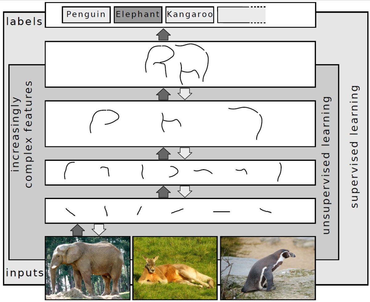 下にゾウ・カンガルー・ペンギンの写真があり、その上に短い線、曲線、ゾウの体の形を描いた段が順に重なり、いちばん上でゾウの札が選ばれている図