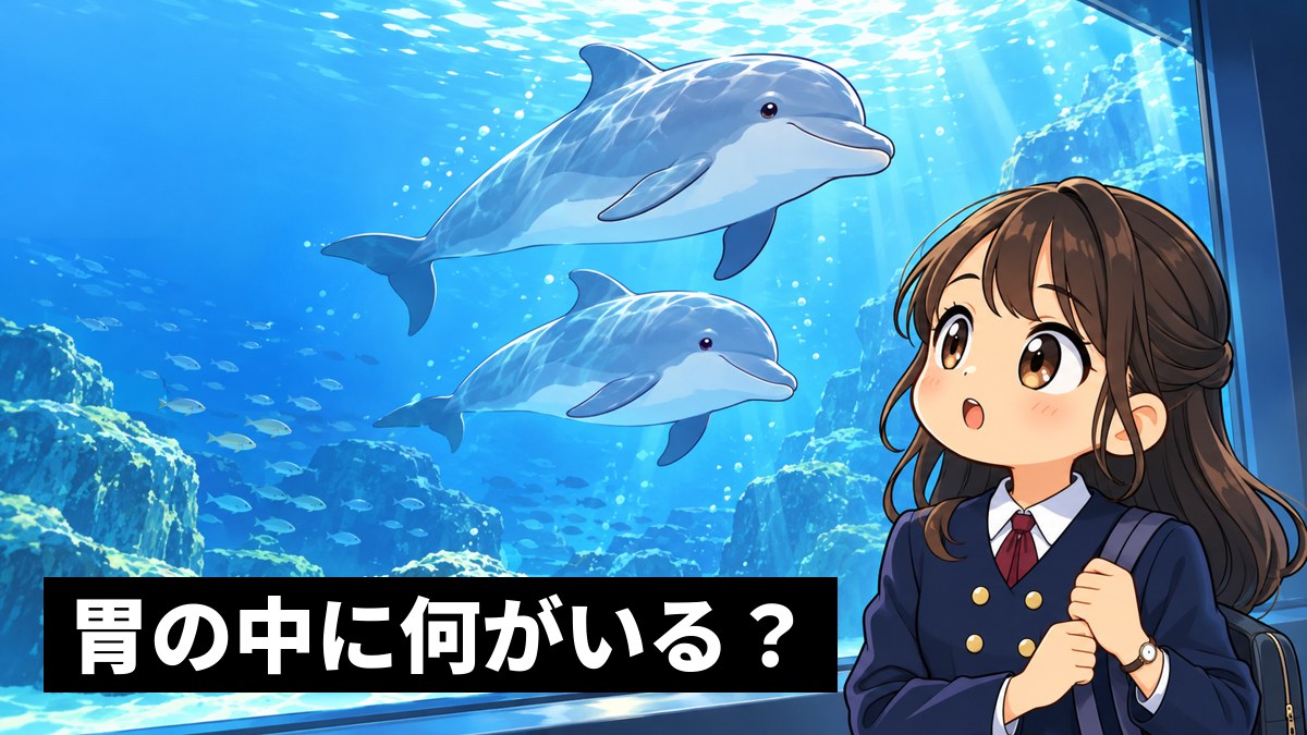 水族館の大きな水槽のガラスの前で、泳ぐイルカを見上げて目を丸くする安房高の女子。「胃の中に何がいる？」の文字。