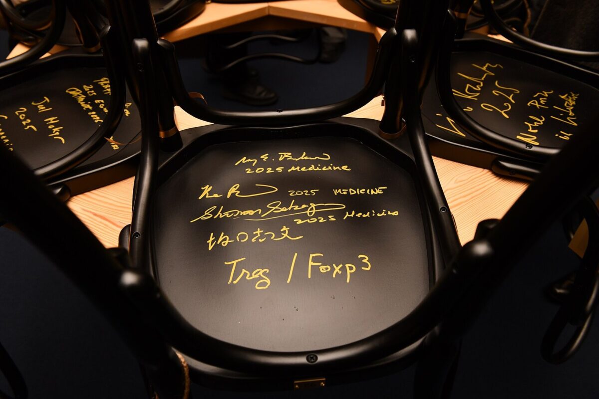 黒いいすの座面に金色のペンで書かれた3人のサイン。その下に漢字の「坂口志文」と「Treg / Foxp3」の文字