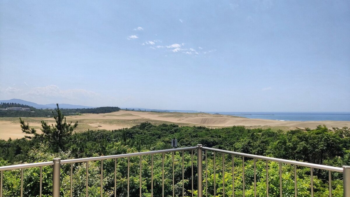 展望台の手すりの向こうに松の林が広がり、その先に薄茶色の砂丘と青い日本海が見える