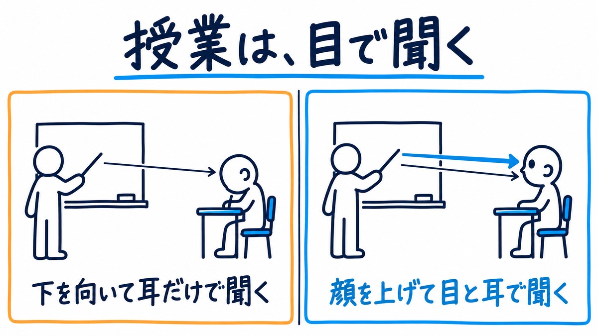授業の聞き方を左右で比べた手描きの図解。左は下を向いて耳だけで聞く生徒で、頭に入る矢印は耳からの1本。右は顔を上げて先生を見て目と耳で聞く生徒で、矢印は2本。見出しは「授業は、目で聞く」。