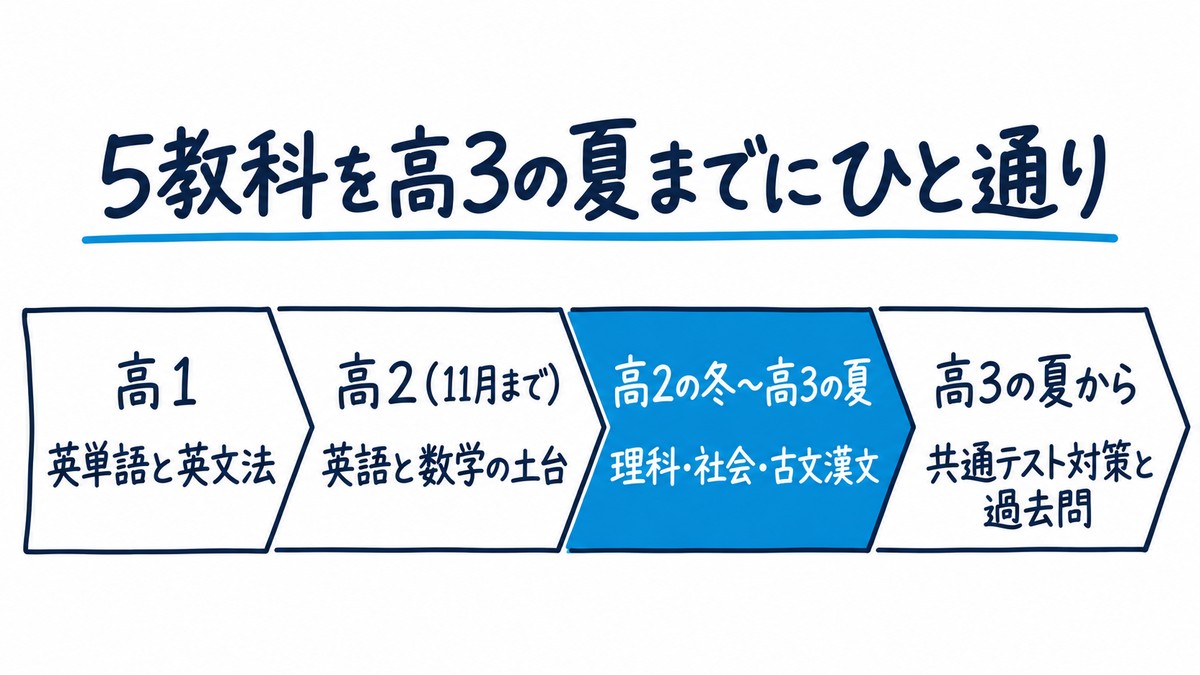 地方国公立ルートの学年ごとの置き方の手描き図解。「高1 英単語と英文法」「高2(11月まで) 英語と数学の土台」「高2の冬〜高3の夏 理科・社会・古文漢文」「高3の夏から 共通テスト対策と過去問」の4区間。見出しは「5教科を高3の夏までにひと通り」。