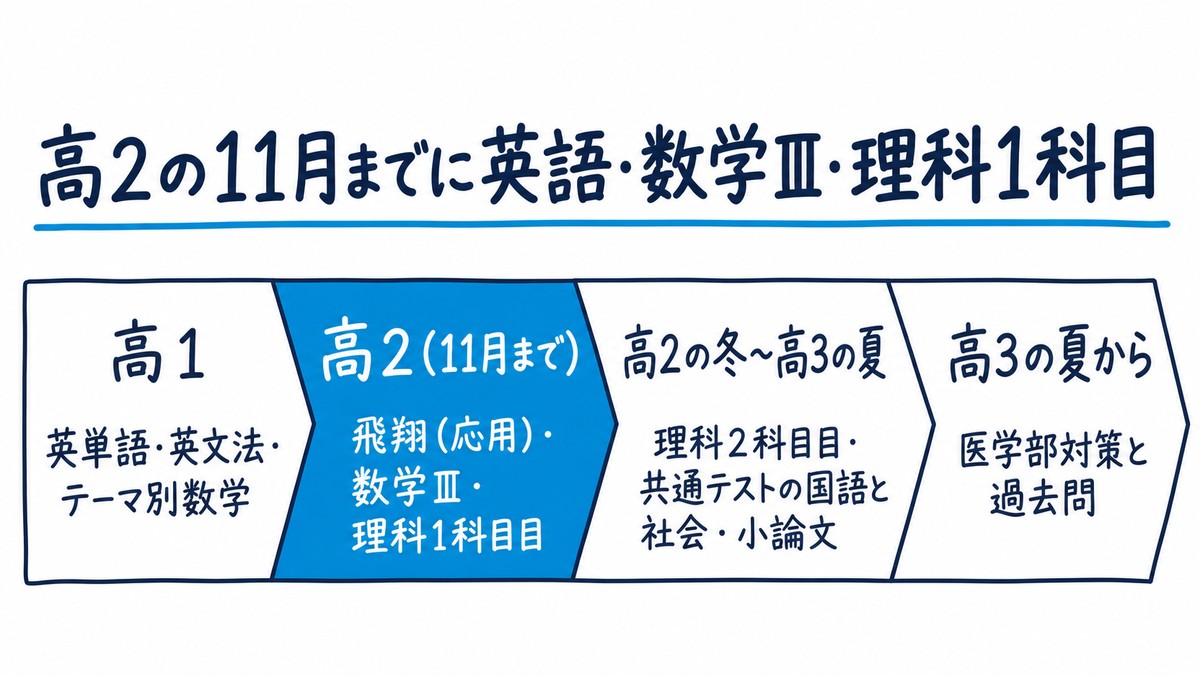 医学部ルートの学年ごとの置き方の手描き図解。「高1 英単語・英文法・テーマ別数学」「高2(11月まで) 飛翔(応用)・数学Ⅲ・理科1科目目」「高2の冬〜高3の夏 理科2科目目・共通テストの国語と社会・小論文」「高3の夏から 医学部対策と過去問」の4区間。見出しは「高2の11月までに英語・数学Ⅲ・理科1科目」。