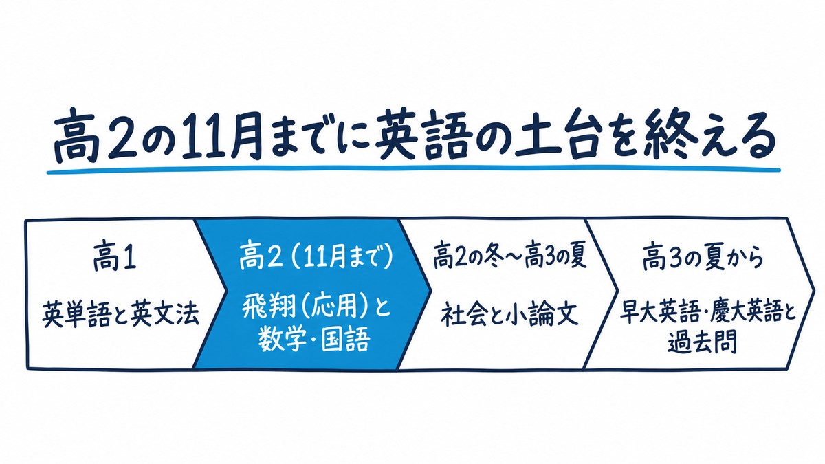 早慶ルートの学年ごとの置き方の手描き図解。「高1 英単語と英文法」「高2(11月まで) 飛翔(応用)と数学・国語」「高2の冬〜高3の夏 社会と小論文」「高3の夏から 早大英語・慶大英語と過去問」の4区間。見出しは「高2の11月までに英語の土台を終える」。