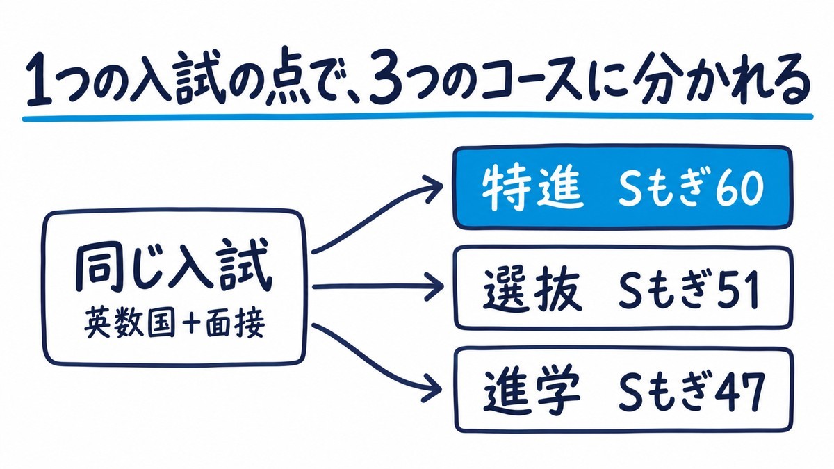翔凜高校のコースの決まり方の手描きの図解。英数国と面接の同じ入試の結果から、特進(Sもぎ60)・選抜(Sもぎ51)・進学(Sもぎ47)の3つのコースに矢印で分かれる。見出しは「1つの入試の点で、3つのコースに分かれる」