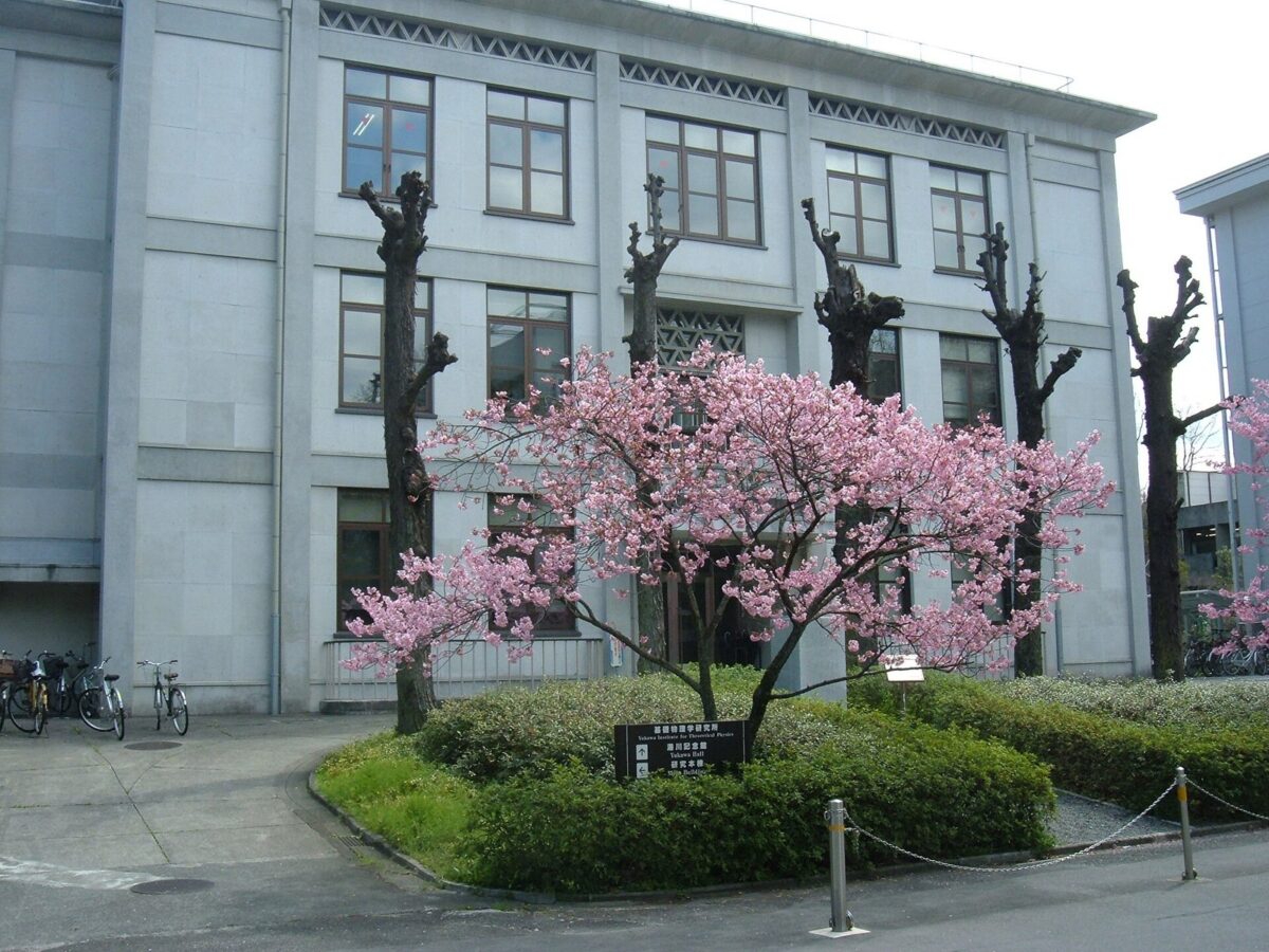 灰色の3階建ての建物の前に、ピンクの花の咲いた桜の木と「基礎物理学研究所 湯川記念館」の案内板。左に自転車が止まっている