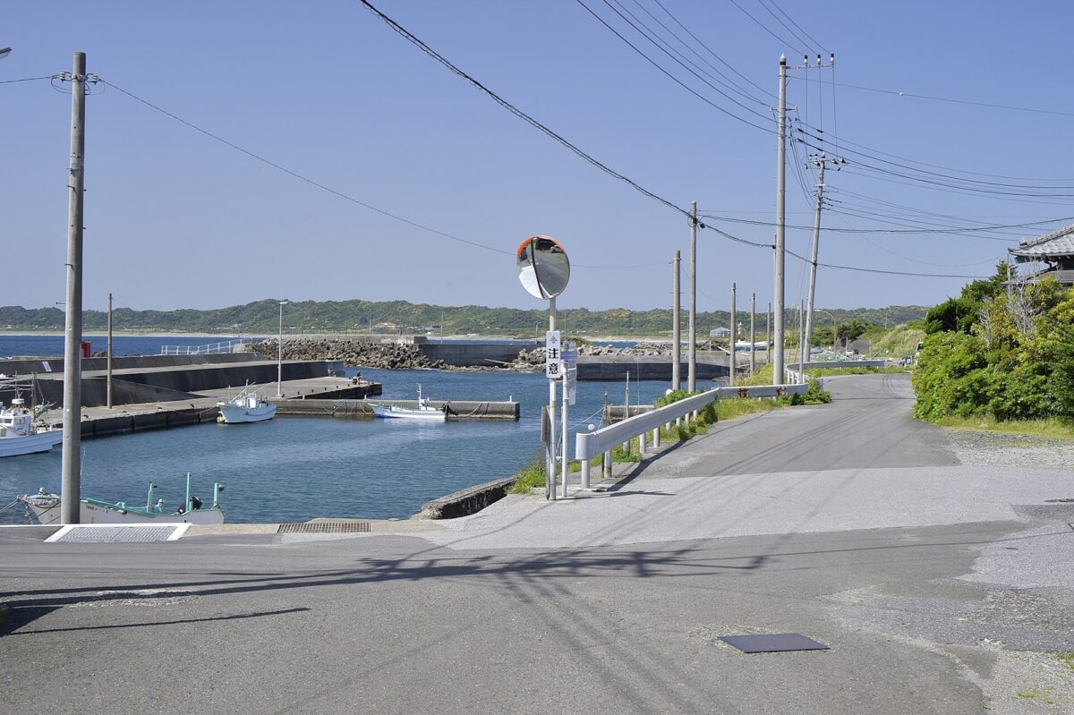 漁港の入り江に沿って海のほうへのびる細い道路。左に小さな漁船と防波堤、右に緑の木々と電柱