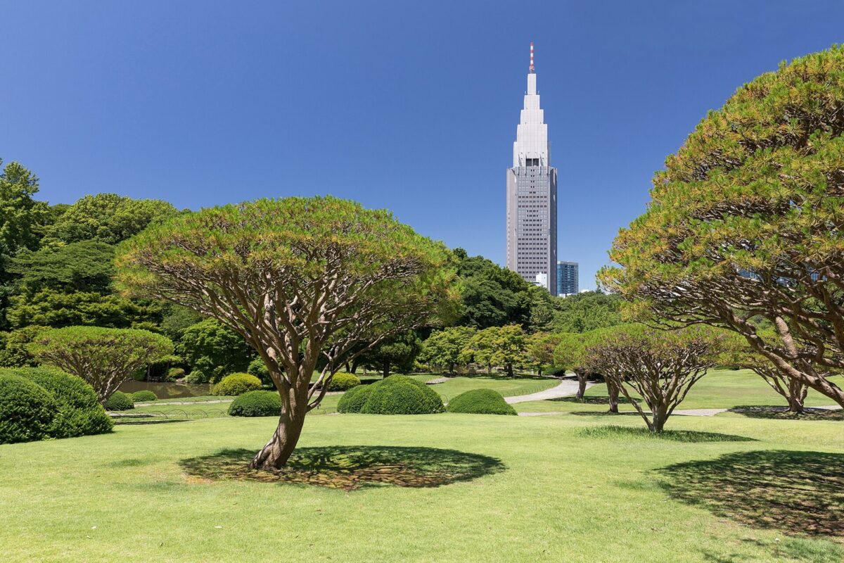 青空の下、芝生と丸く刈られた松の木の向こうに、先がとがって段になった高いビルが1本立っている