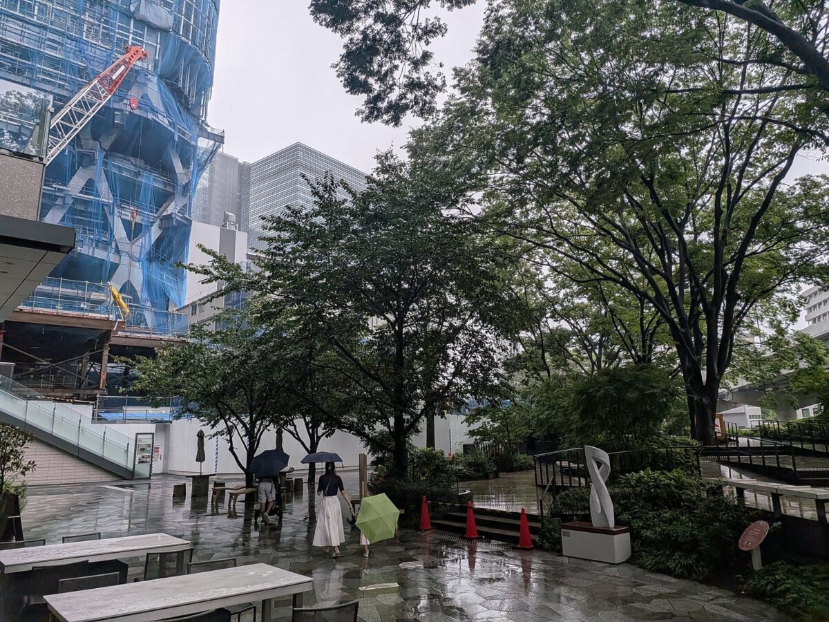 雨の日の、木の多い広場。左上に、足場に包まれた建設中の高いビルが見える