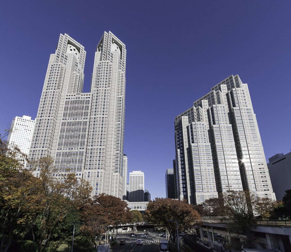 青空の下、上が2つの塔に分かれた灰色の高層ビルと、その右に並ぶもう1つの高層ビル。手前に紅葉した木々