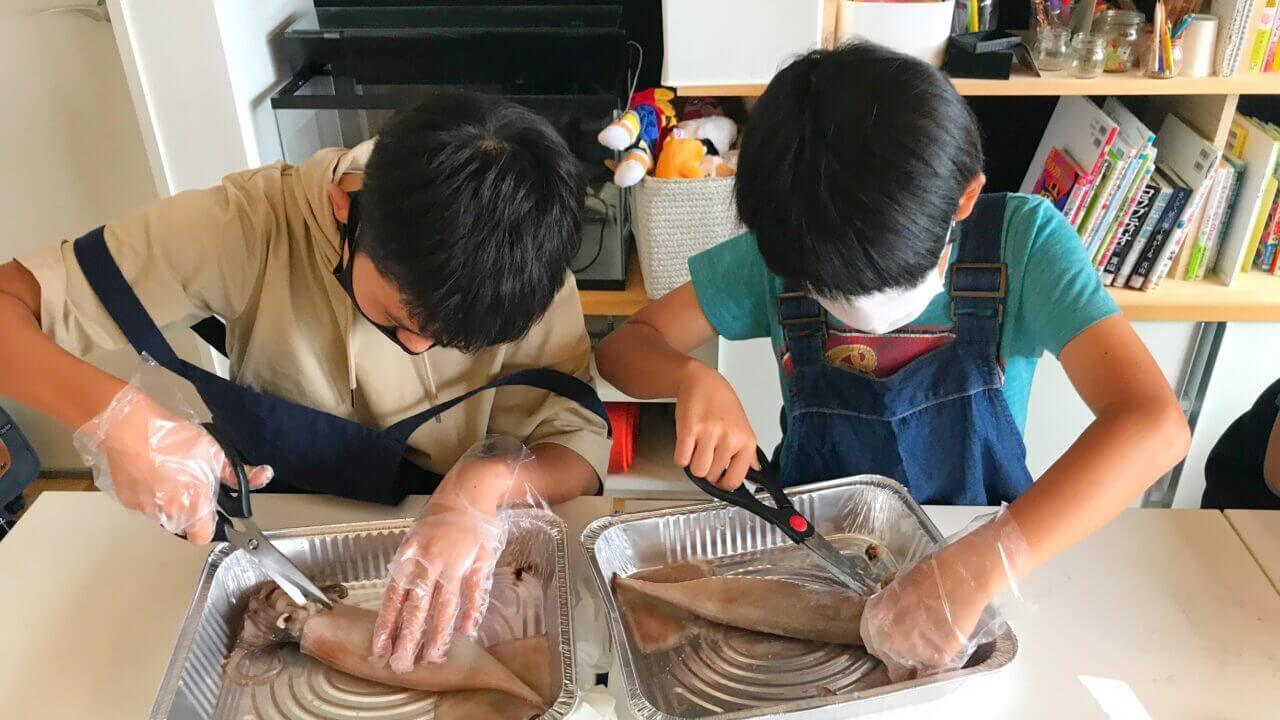 イカの解剖実験